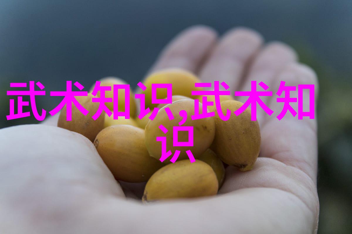 十大最强武功秘籍我来告诉你这些绝世武林中的宝典