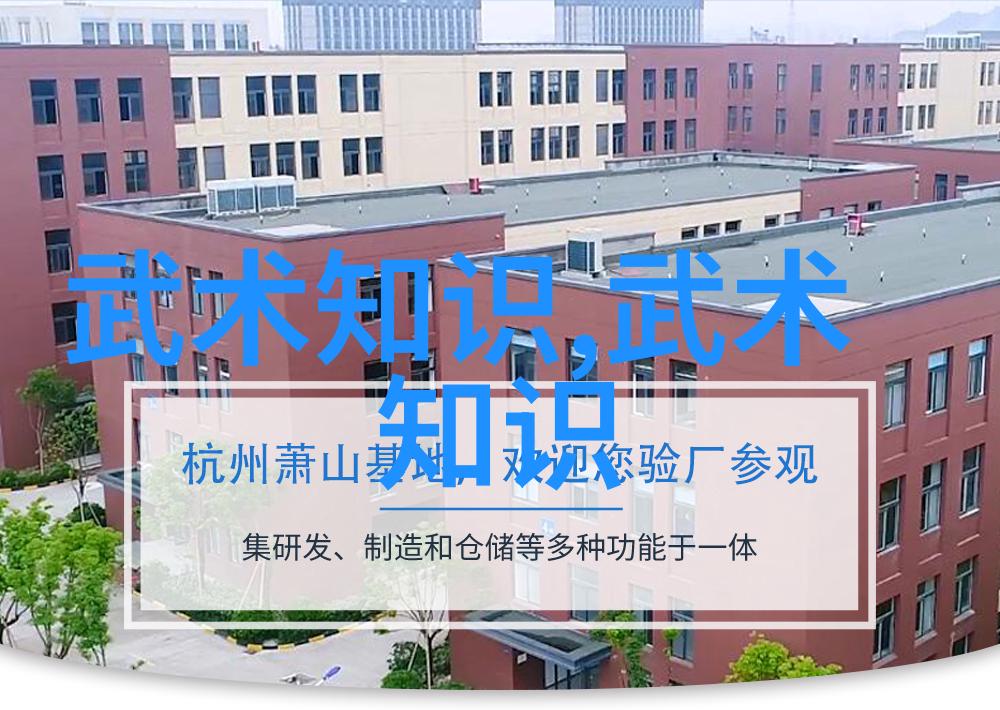 中国现在最厉害的门派 - 武林绝学揭秘当代中国最强大的门派