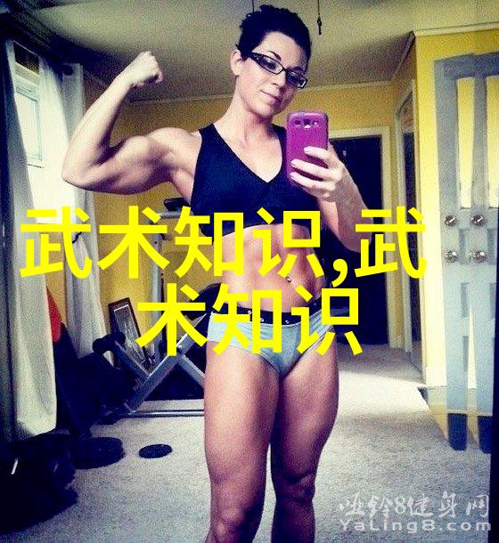 探索中华武学宝库中国五大名门派与众多流派的风采
