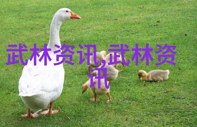 中国武术门派之旅中华武学的瑰宝