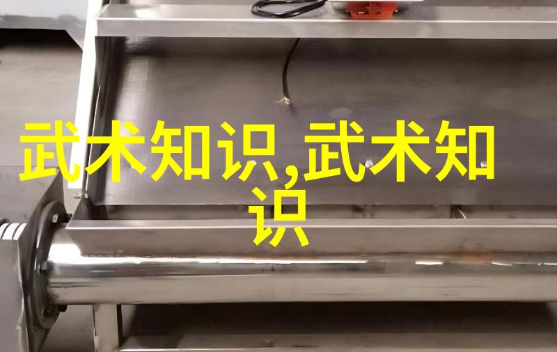 拳法十六招式图解我教你一套简易拳法打架时绝对有力