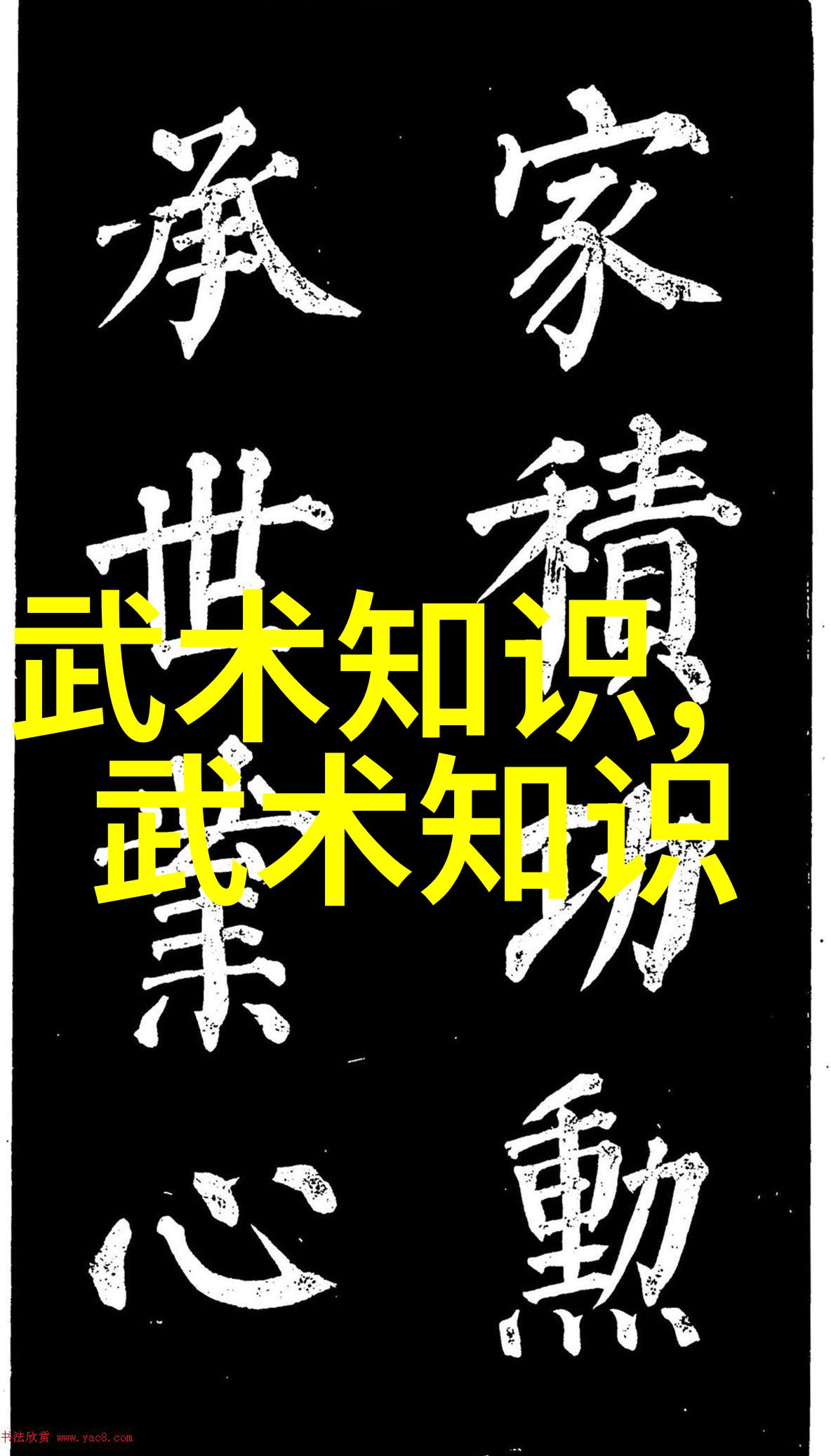 武功秘籍网揭秘古代武学宝典的现代解读与实践
