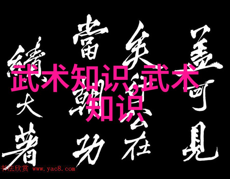 霸道门派黑虎拳