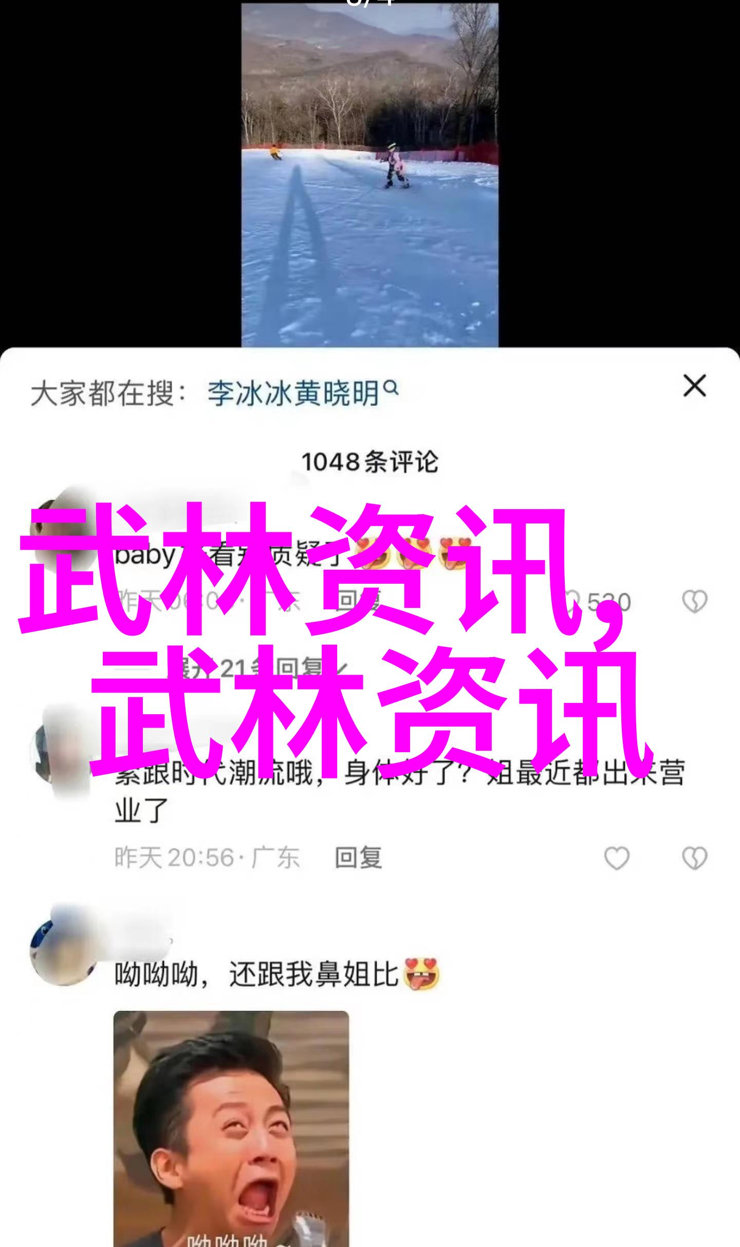 世界上最狠的拳法-铁拳霸道揭秘最具破坏力的武术体系