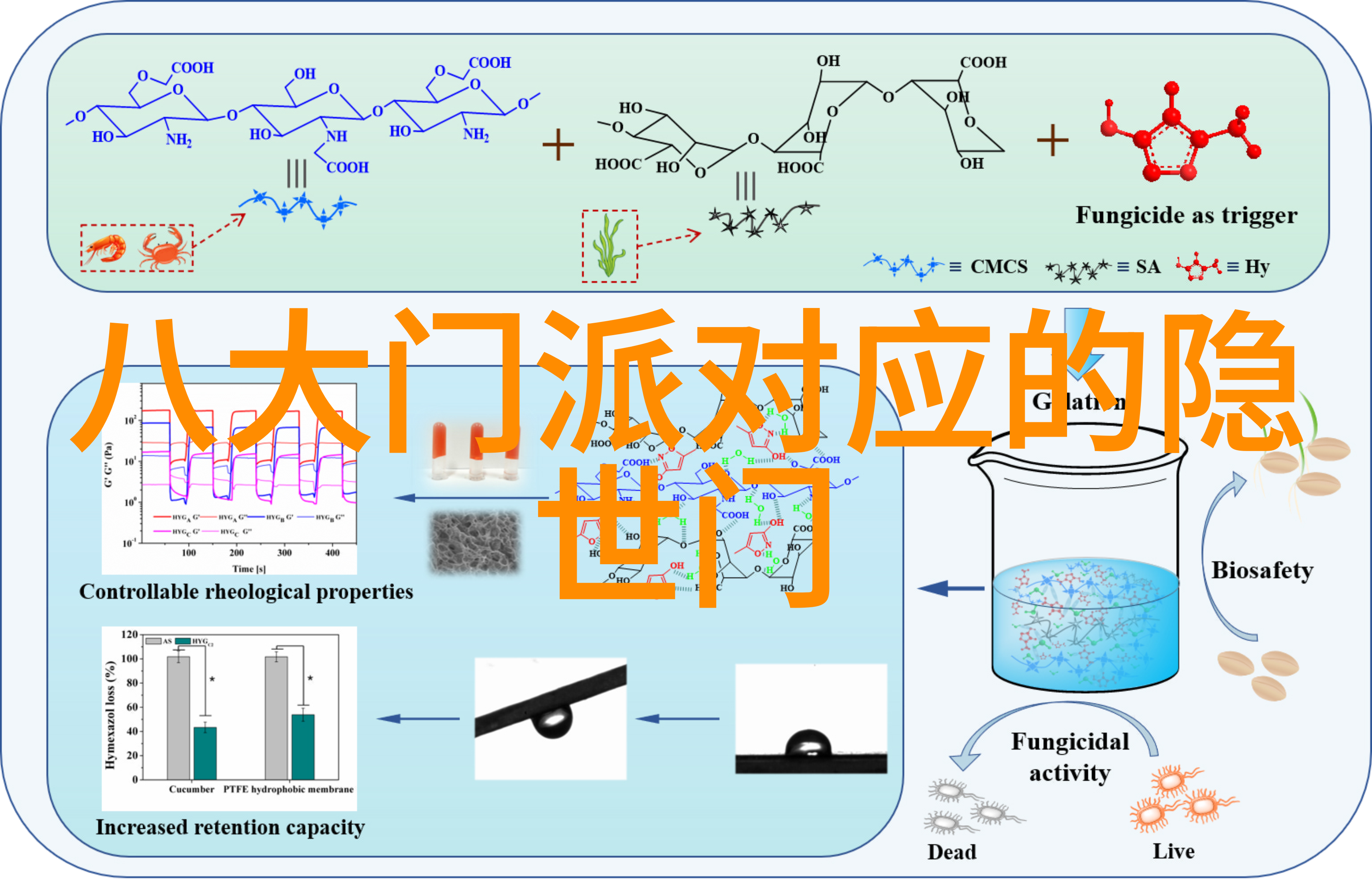 黑暗的统治者全球十大帮派的秘密帝国