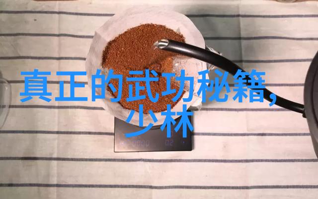 中国功夫有什么拳法我来告诉你我亲自学过的那些招数