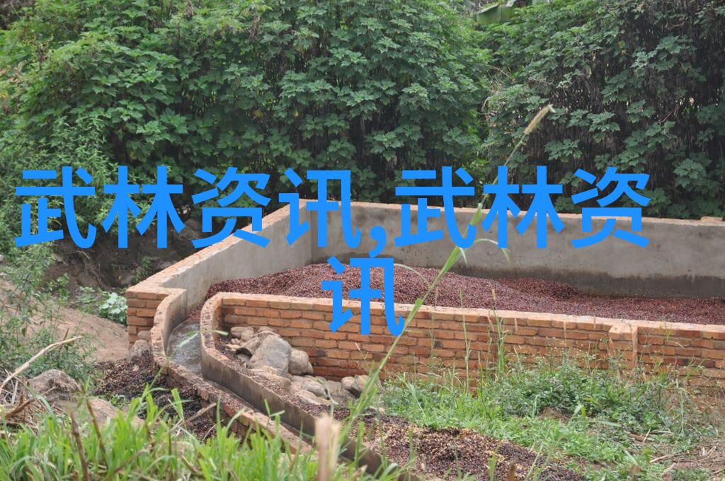 金庸小说所有武功名称大全-倚天屠龙记中的神秘武功解密金庸笔下的绝学之谜