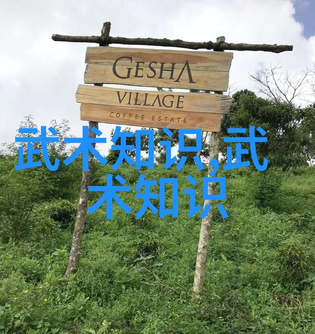 碳纤维自行车安全骑行水壶让每一次出行都充满活力