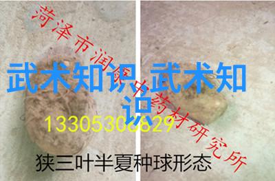 乒乓球赛事综述王楚钦周启豪在WTT太原站首轮遭淘汰
