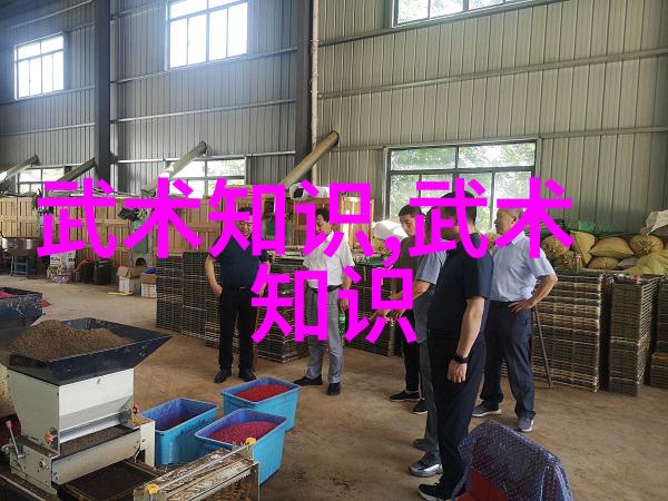 刃锋中的修行剖析刀门武林的精髓