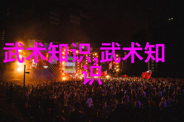 太极拳24式图解深度解析探索内外兼修的武学之道