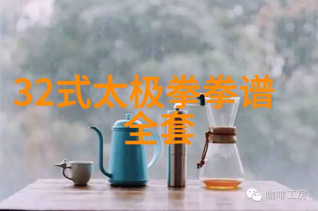 武林秘籍内功外化的精华技巧功夫大全招式拳法