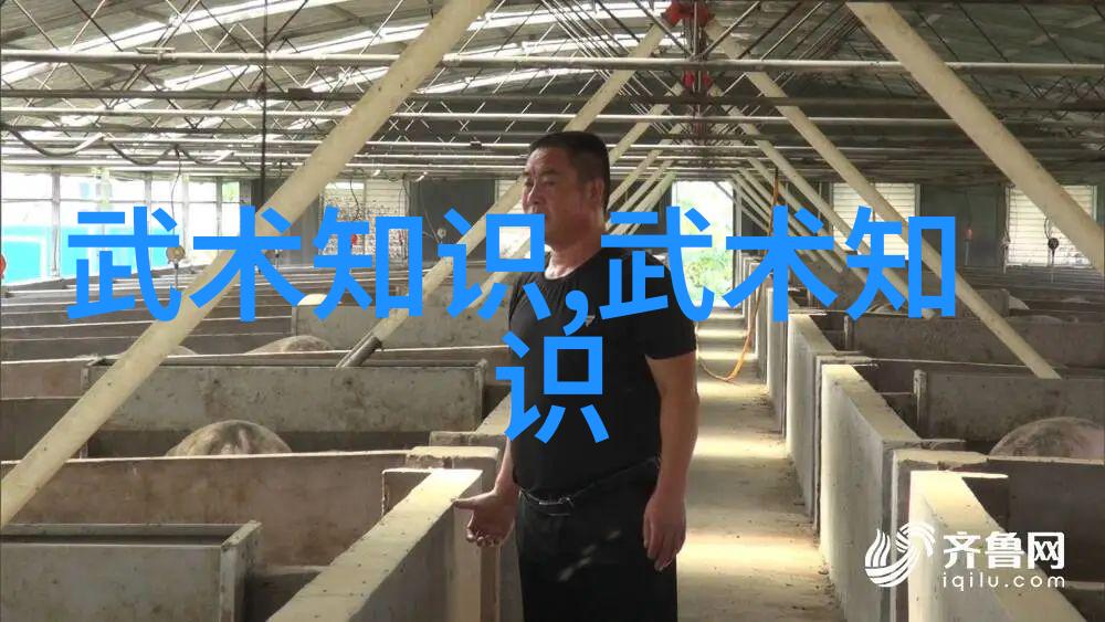 武学秘笈揭秘内行之法则
