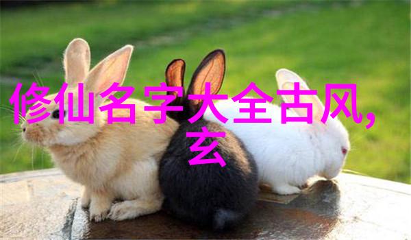 球探比分网足球即时比分旧版下载梅洛的挑衅行为是否激发了暴力球员被罚的命运如何
