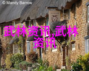 2. 了解中国武术中的内家拳与外家拳差异