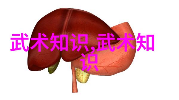 太极拳的双面智慧深入解读24式的正与反