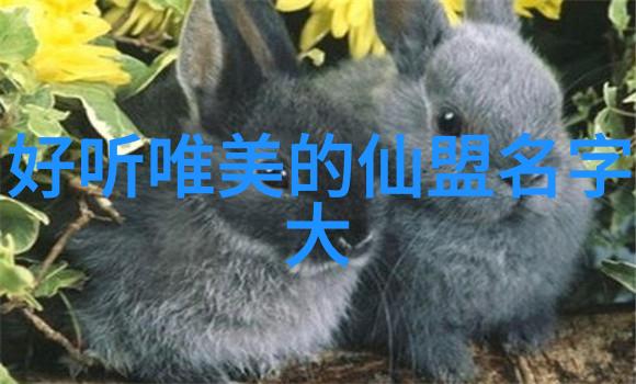 中国武功的练习艺术揭秘内功外功与心法