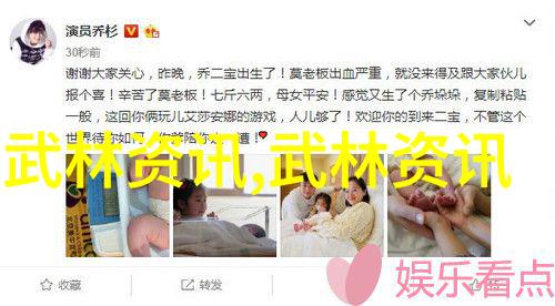 太极拳之美十三式分解与实践
