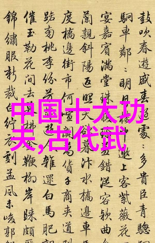 武功自学教学视频解锁传统太极拳养生健身秘笈
