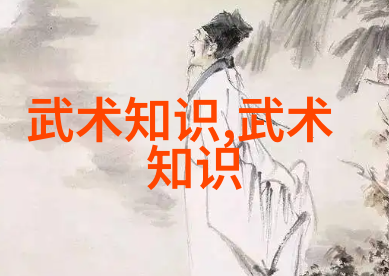 太极24式探索阴阳互化的艺术奥秘