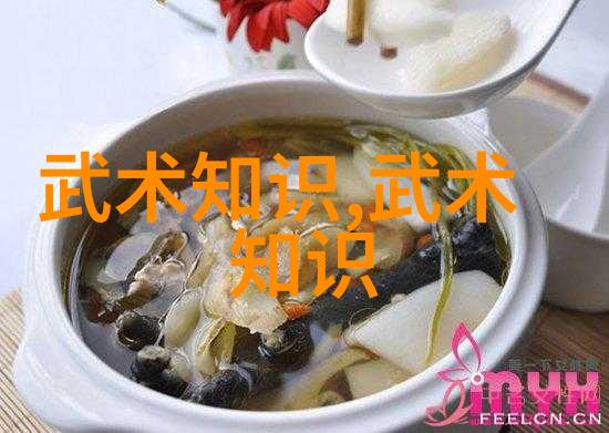全国武术门派探秘叶式太极拳的魅力与技巧