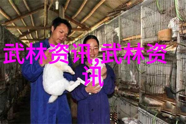 帮派文化的丰富魅力一览名单中的传奇与个性