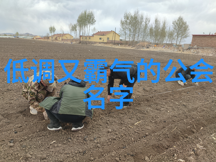 古代武学中的内力与外功