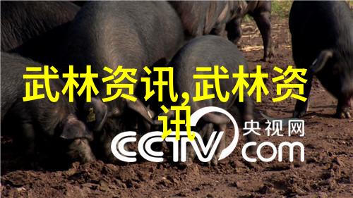 拳击教程如何进行自我防御训练