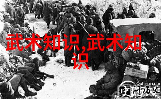 武学启蒙揭秘基础武功秘籍的修炼之道