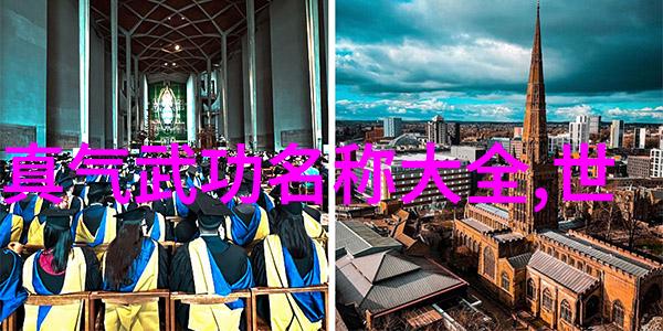 太极拳学习指南-48式太极拳全套视频带口令掌握传统武术的精髓