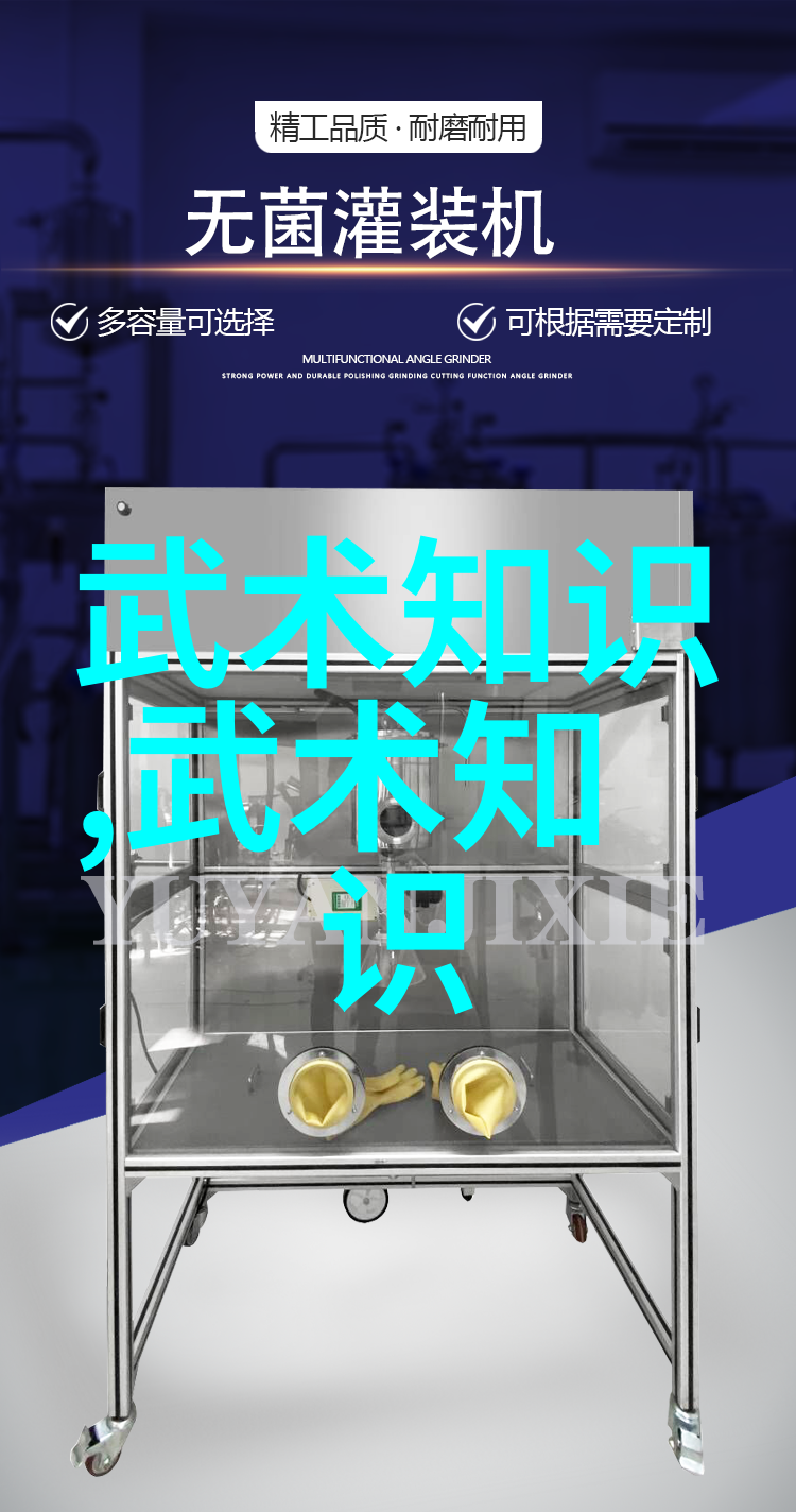 湖南武术门派-剖析湘军之魂湖南武术门派的兴衰与文化内涵