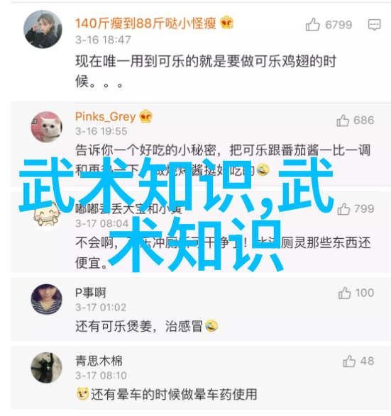 武林秘籍大全自然中的预备式与起势
