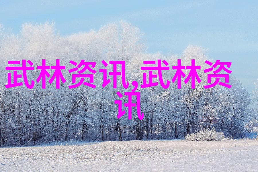 武林高手横练功夫排名揭晓天下英雄云集争先锋