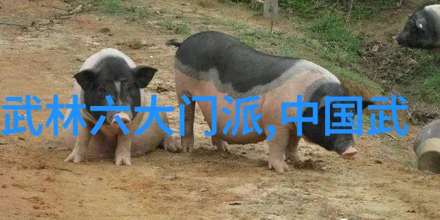 图说江湖各种武功秘籍图片中的精髓与技巧
