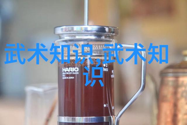 古道遗风解读中国武术秘籍书