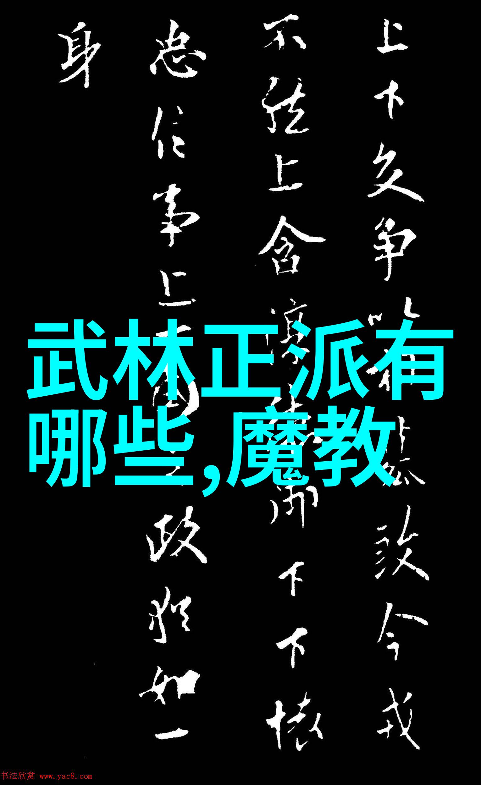 揭秘波速球减脂神器解锁器械健身的秘密动作