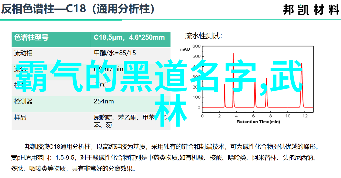 掌握基本步伐提升实战能力介绍一些基础的武术训练方法