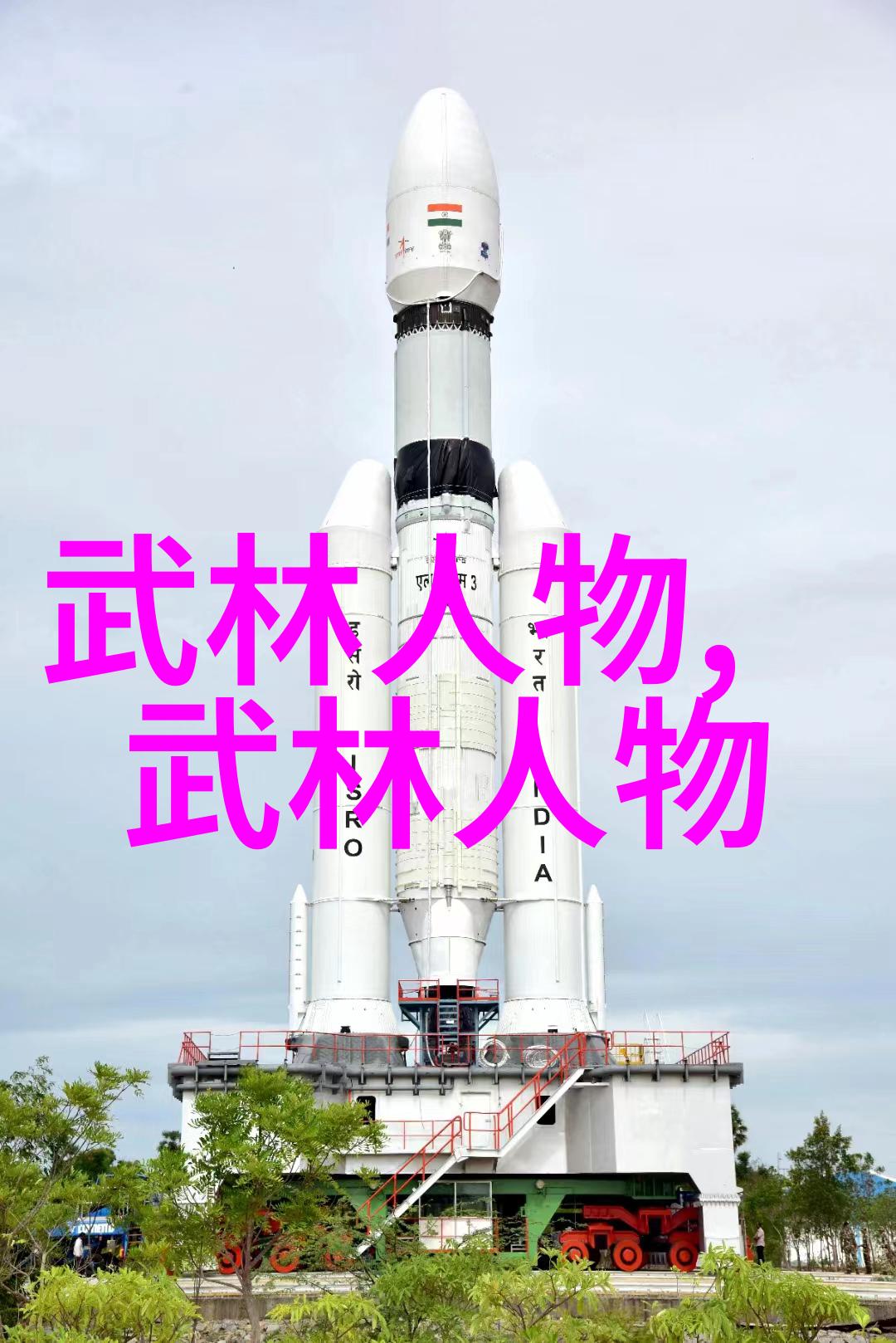 橄榄球场上的双雄争霸中新联手征战新西兰联赛