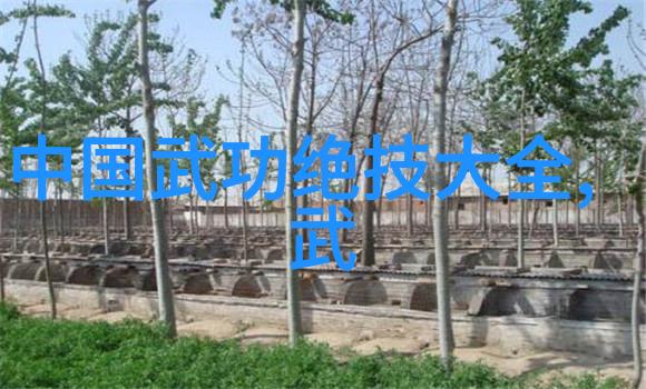 家中练武秘籍自己在家的武术学习指南