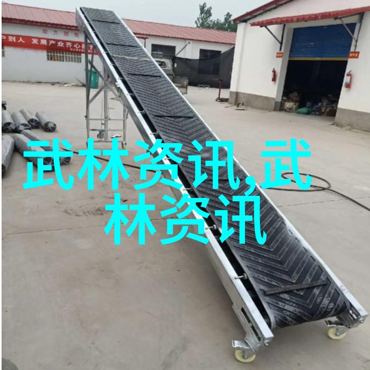 武林高手的必备技能解读中国十大武术的特点