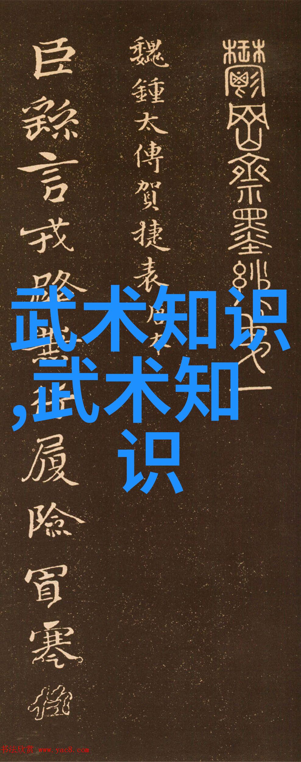 武术自学-独行侠的路探索适合自学者的武术艺术