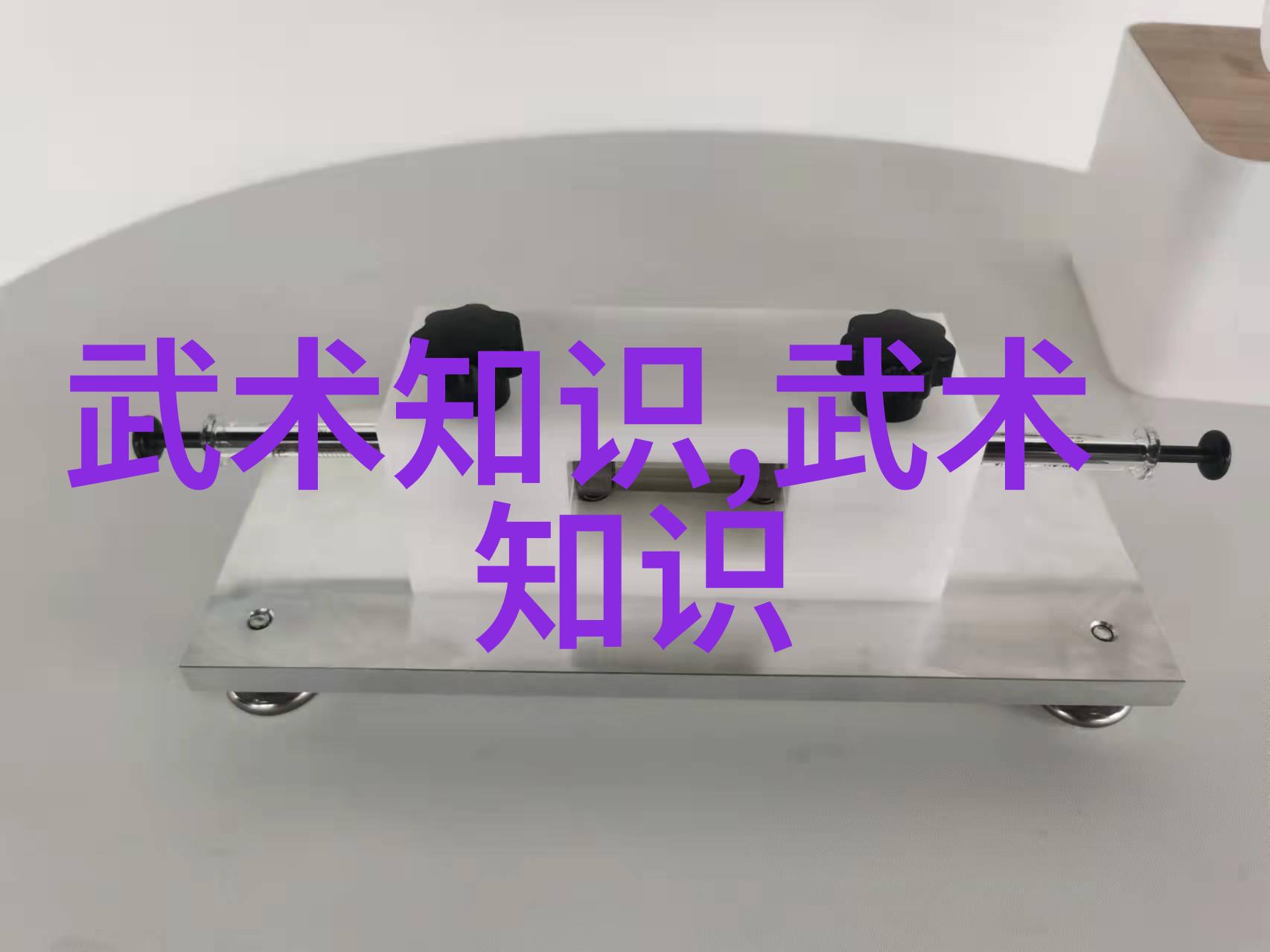 拳击网独家UFC格斗盛宴-刘易斯VS 斯皮瓦克前瞻大战