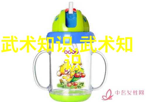 中国武林秘籍剑法十绝