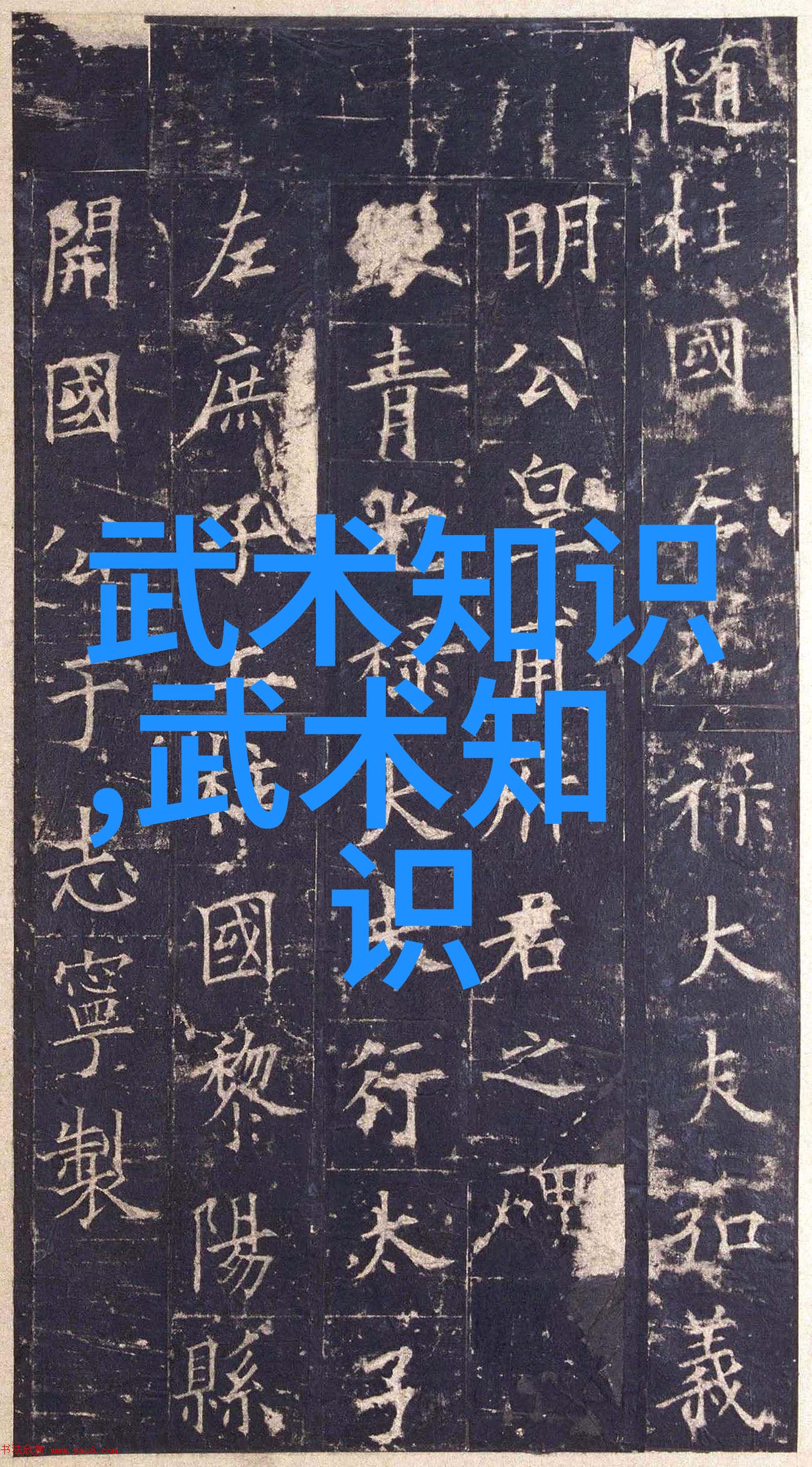 内外兼修太极拳中的柔韧性训练方法