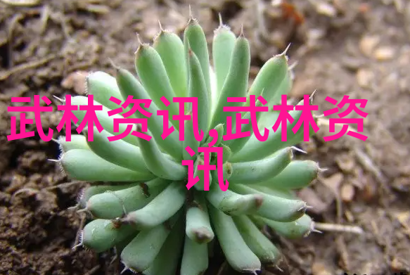 沈氏随手自然中的好听公会名字大全