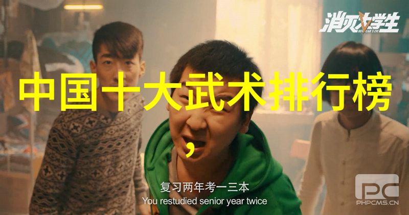 初学者应该选择哪种类型的武术来提高效率