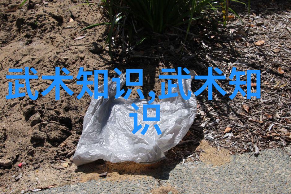 篮球教案季后赛的等待