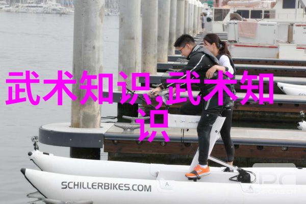 武术自学指南掌握古老技艺的秘籍