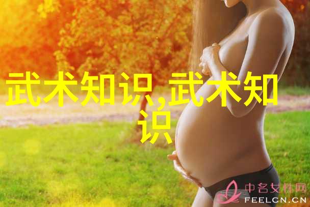 数据驱动二十四式简化太极拳图解-雷生霖