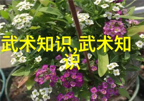 剑姿绰约男人眼中的女人武功